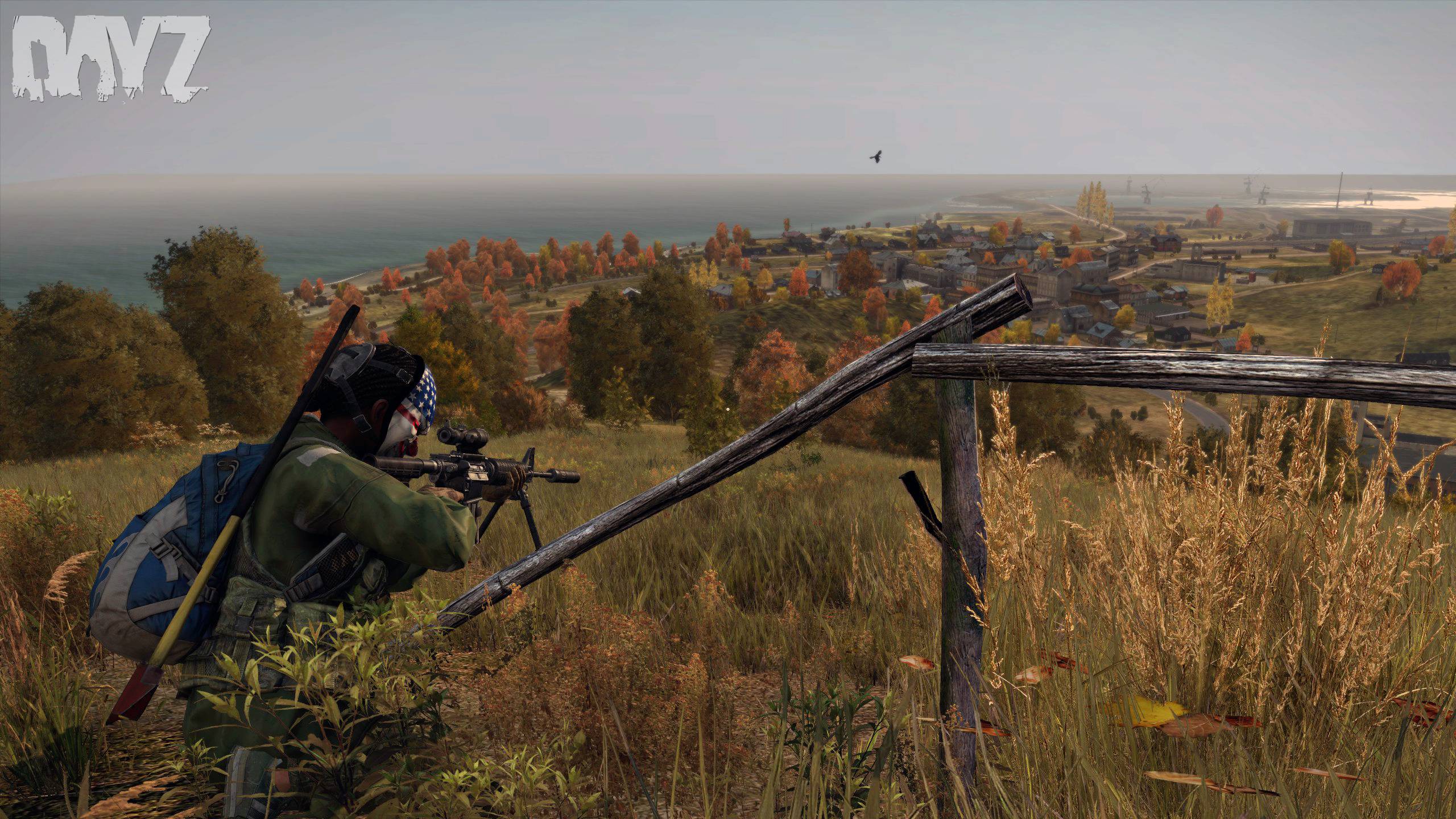 dayz pc game