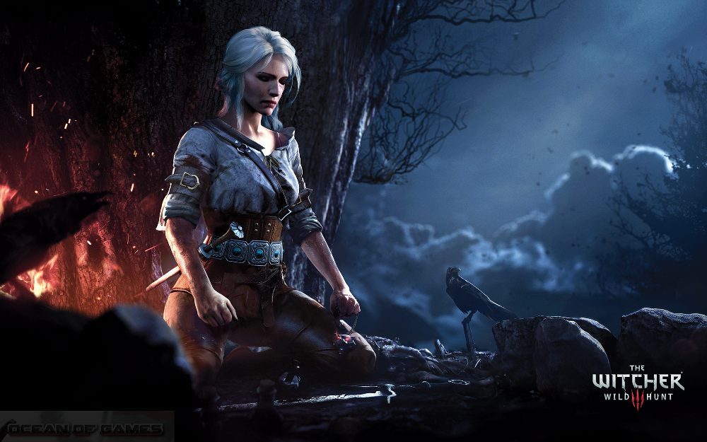 The Witcher 3 Wild Hunt With All Updates Features