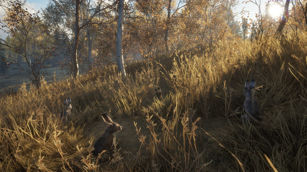 TheHunter Call of the Wild New Species 2018 Free Download